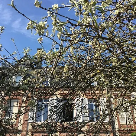 Duplex/jardin Centre Vakantiehuis